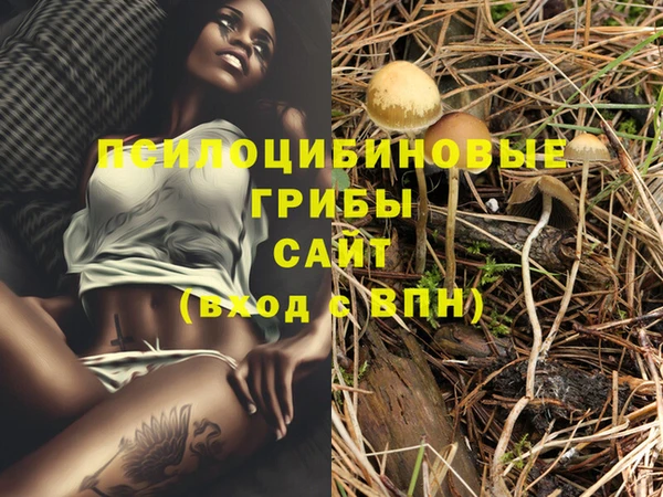 круглые Вяземский